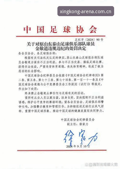 资深用户分享：足协第三批禁足名单背后，我在星空体育官网通道看球赛的这些年